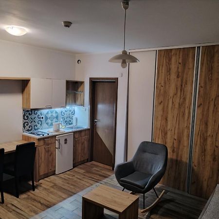 Centar Novi Sad-Apartman No 1 Zewnętrze zdjęcie
